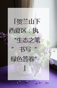 贺兰山下西夏区：执“生态之笔” 书写“绿色答卷”