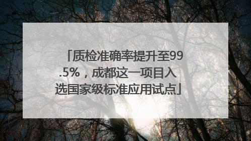 质检准确率提升至99.5%，成都这一项目入选国家级标准应用试点
