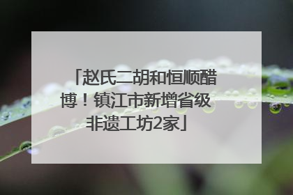 赵氏二胡和恒顺醋博！镇江市新增省级非遗工坊2家