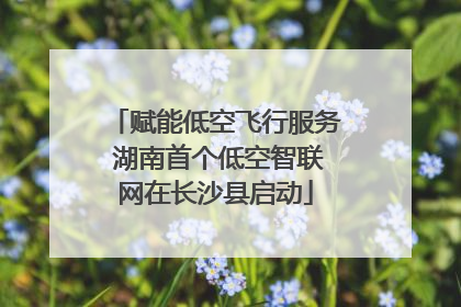 赋能低空飞行服务 湖南首个低空智联网在长沙县启动