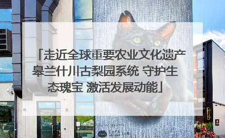 走近全球重要农业文化遗产皋兰什川古梨园系统 守护生态瑰宝 激活发展动能