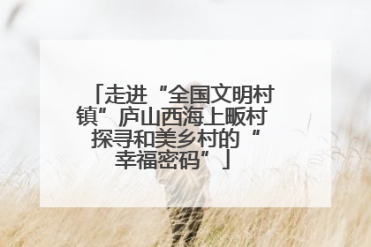 走进“全国文明村镇”庐山西海上畈村 探寻和美乡村的“幸福密码”