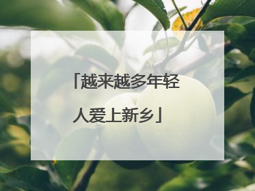 越来越多年轻人爱上新乡