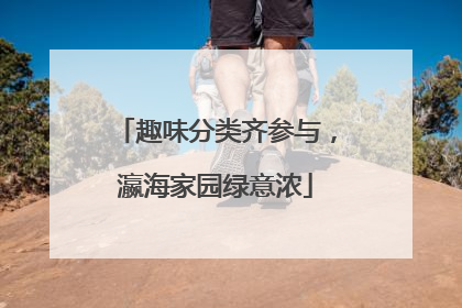 趣味分类齐参与，瀛海家园绿意浓