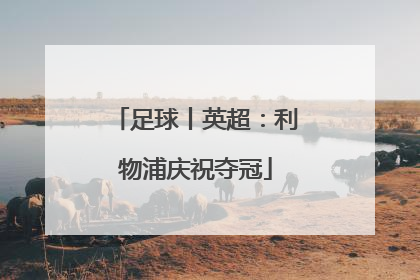 足球丨英超：利物浦庆祝夺冠