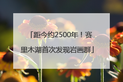 距今约2500年！赛里木湖首次发现岩画群