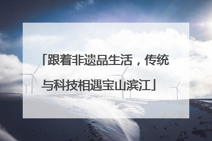 跟着非遗品生活，传统与科技相遇宝山滨江