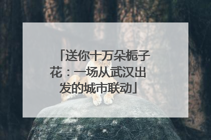 送你十万朵栀子花：一场从武汉出发的城市联动