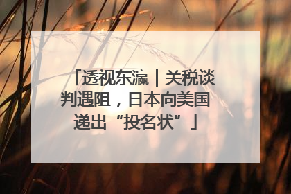 透视东瀛｜关税谈判遇阻，日本向美国递出“投名状”
