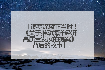 逐梦深蓝正当时！《关于推动海洋经济高质量发展的提案》背后的故事