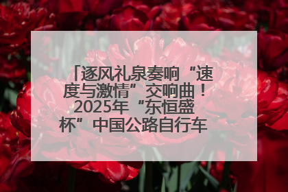 逐风礼泉奏响“速度与激情”交响曲！2025年“东恒盛杯”中国公路自行车联赛第五站（陕西·礼泉站）正式开赛