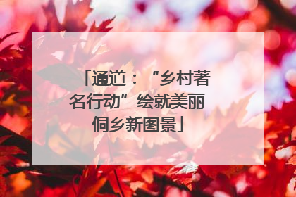 通道：“乡村著名行动”绘就美丽侗乡新图景