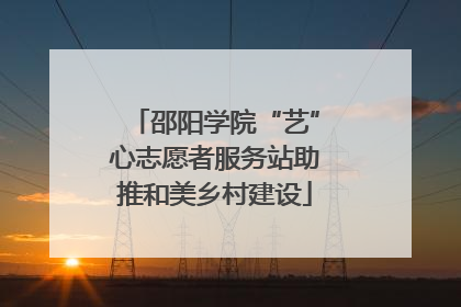 邵阳学院“艺”心志愿者服务站助推和美乡村建设