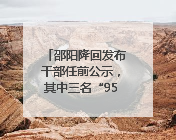 邵阳隆回发布干部任前公示，其中三名“95后”干部拟任副科级领导，均系硕士选调生