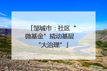 邹城市：社区“微基金”撬动基层“大治理”