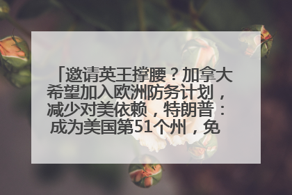 邀请英王撑腰？加拿大希望加入欧洲防务计划，减少对美依赖，特朗普：成为美国第51个州，免费用“金穹”