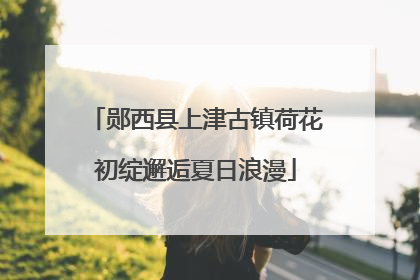 郧西县上津古镇荷花初绽邂逅夏日浪漫
