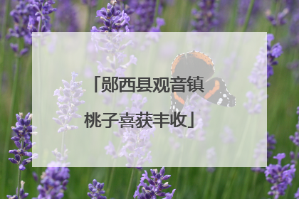 郧西县观音镇桃子喜获丰收