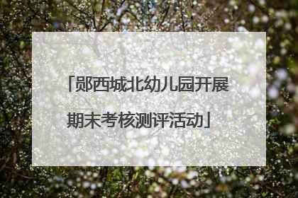 郧西城北幼儿园开展期末考核测评活动