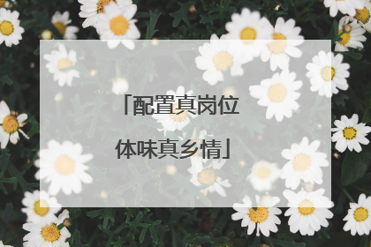 配置真岗位 体味真乡情