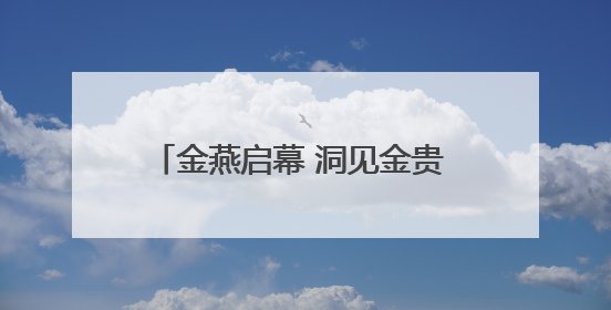 金燕启幕 洞见金贵 SCOTCH 燕窝中国新品发布会盛大举行