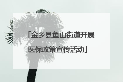 金乡县鱼山街道开展医保政策宣传活动