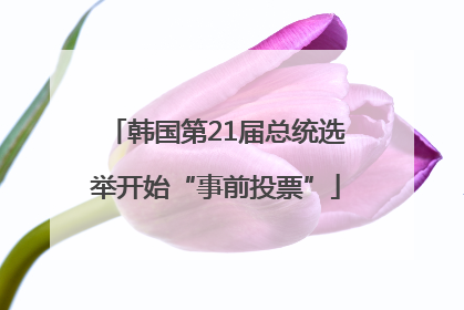 韩国第21届总统选举开始“事前投票”