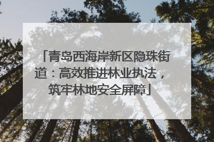 青岛西海岸新区隐珠街道：高效推进林业执法，筑牢林地安全屏障