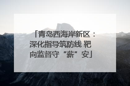 青岛西海岸新区：深化指导筑防线 靶向监督守“薪”安