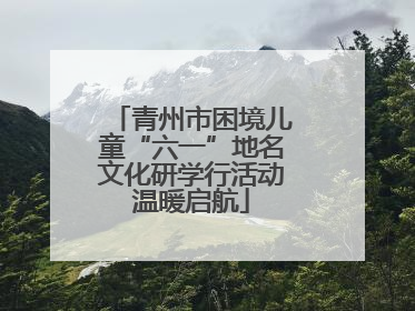 青州市困境儿童“六一”地名文化研学行活动温暖启航