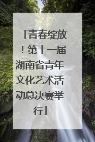青春绽放！第十一届湖南省青年文化艺术活动总决赛举行