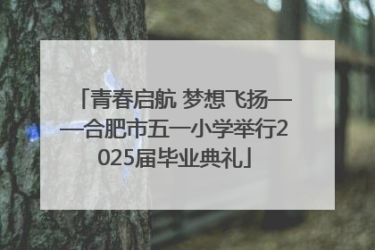 青春启航 梦想飞扬——合肥市五一小学举行2025届毕业典礼