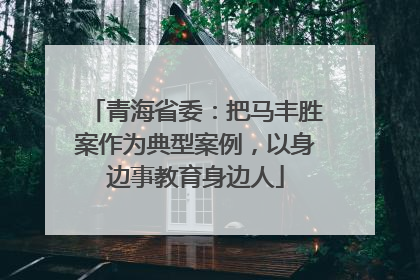 青海省委：把马丰胜案作为典型案例，以身边事教育身边人