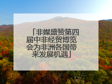 非媒盛赞第四届中非经贸博览会为非洲各国带来发展机遇