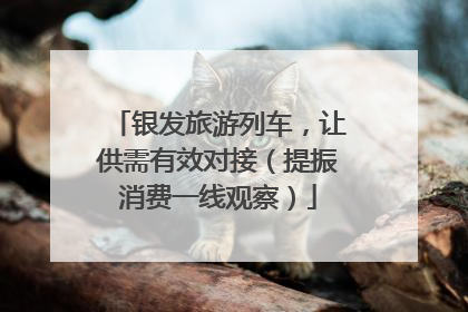 银发旅游列车，让供需有效对接（提振消费一线观察）