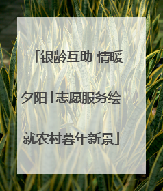 银龄互助 情暖夕阳│志愿服务绘就农村暮年新景