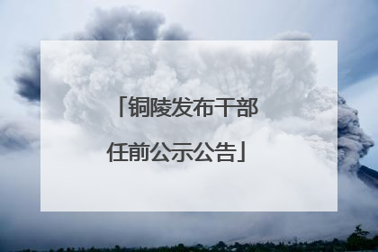 铜陵发布干部任前公示公告