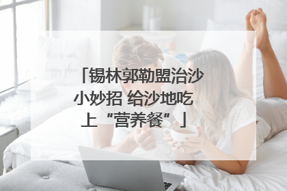 锡林郭勒盟治沙小妙招 给沙地吃上“营养餐”