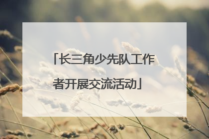 长三角少先队工作者开展交流活动