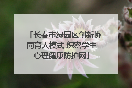 长春市绿园区创新协同育人模式 织密学生心理健康防护网