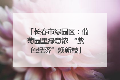 长春市绿园区：葡萄园里绿意浓 “紫色经济”焕新枝