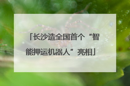 长沙造全国首个“智能押运机器人”亮相
