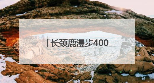 长颈鹿漫步400米完成动物园里的“非洲迁徙” 红山森林动物园完成怀孕长颈鹿步行转运