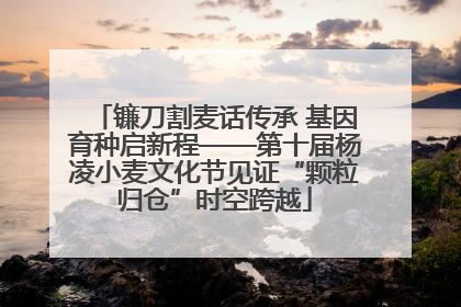 镰刀割麦话传承 基因育种启新程——第十届杨凌小麦文化节见证“颗粒归仓”时空跨越