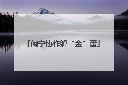 闽宁协作孵“金”蛋