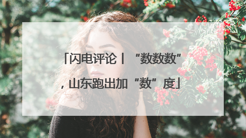 闪电评论丨“数数数”，山东跑出加“数”度