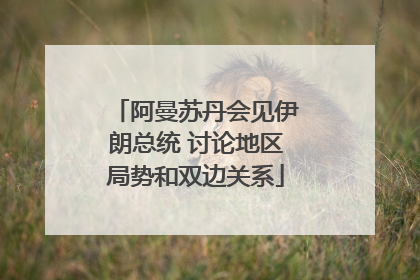 阿曼苏丹会见伊朗总统 讨论地区局势和双边关系