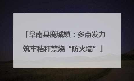 阜南县鹿城镇：多点发力 筑牢秸秆禁烧“防火墙”