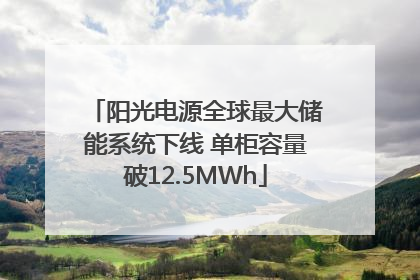 阳光电源全球最大储能系统下线 单柜容量破12.5MWh