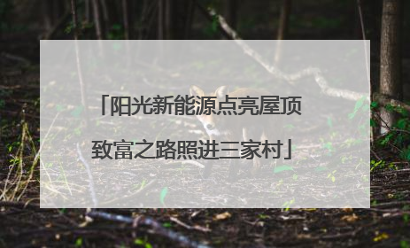 阳光新能源点亮屋顶 致富之路照进三家村